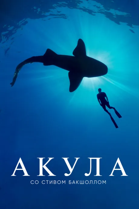 Акула со Стивом Бакшоллом (сериал 2021)