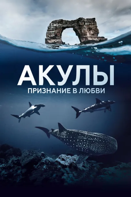 Акулы. Признание в любви (сериал 2022)