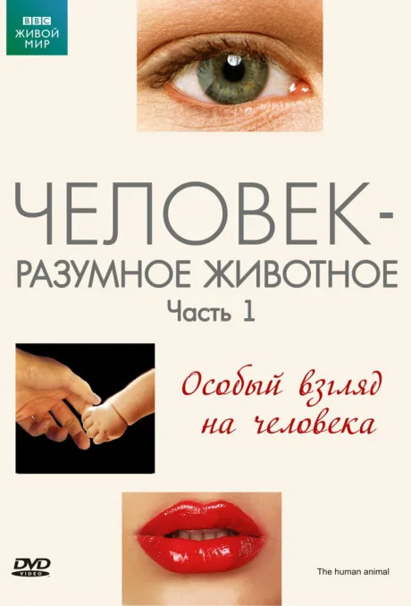 BBC: Человек – разумное животное (сериал 1994)