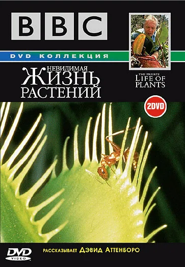 BBC: Невидимая жизнь растений (сериал 1995)