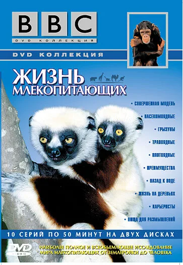 BBC: Жизнь млекопитающих (сериал 2002)