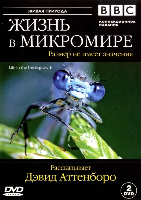 BBC: Жизнь в микромире (сериал 2005)