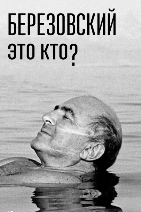 Березовский – это кто? (сериал 2017)