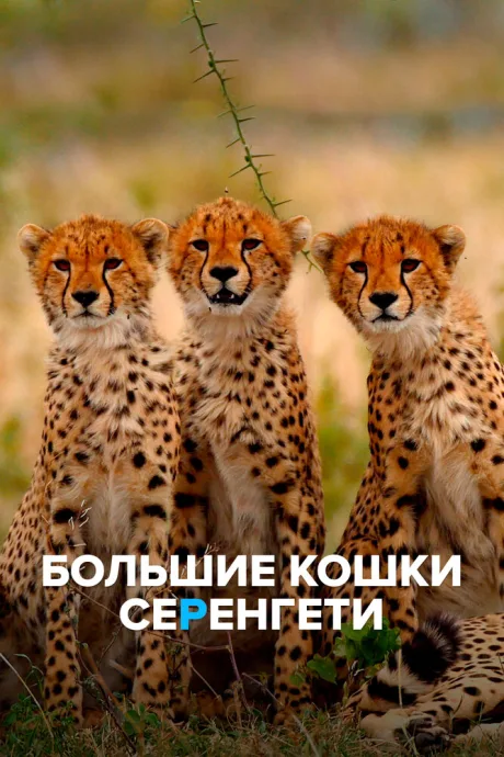 Большие кошки Серенгети (2019)