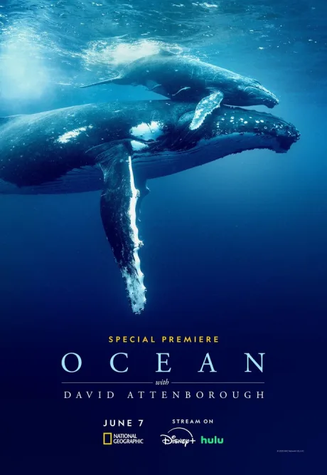 Дэвид Аттенборо: Океан (2025)