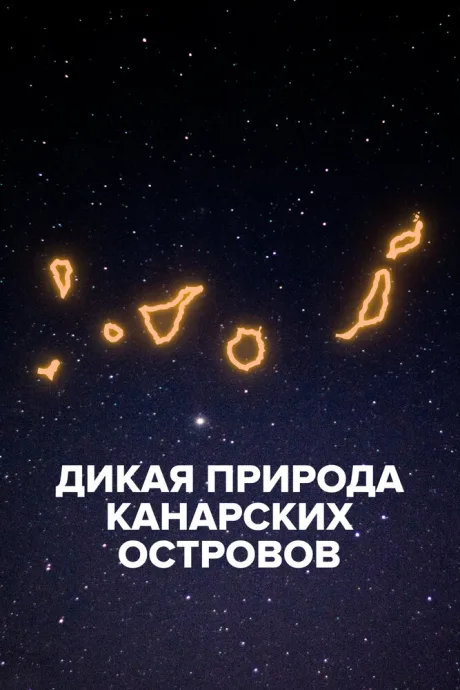Дикая природа Канарских островов (2021)