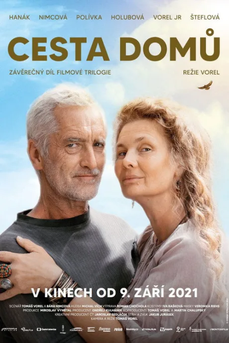 Дорога домой (2021)