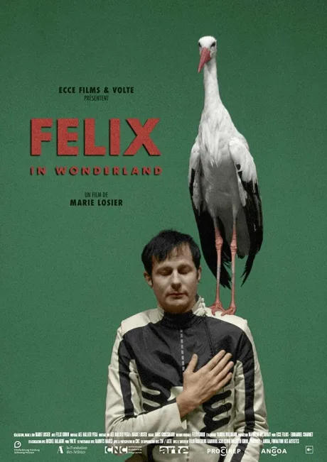 Феликс в стране чудес (2019)