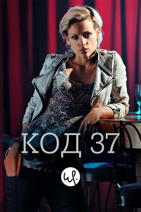Код 37: Отдел секс-преступлений (сериал 2009)