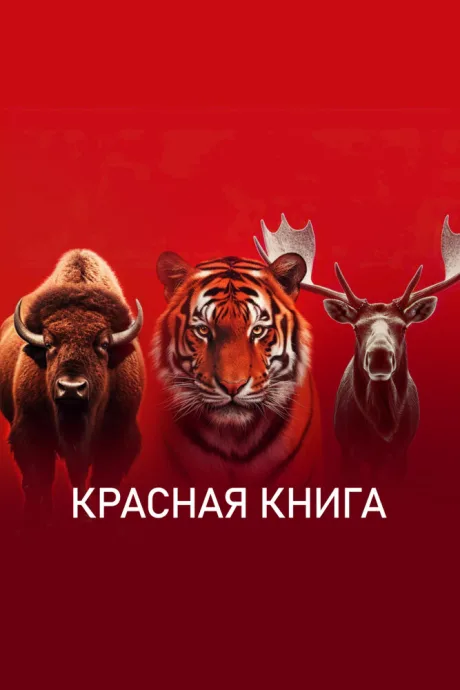 Красная книга (сериал 2022)