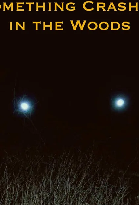 Крушение в лесу (2019)