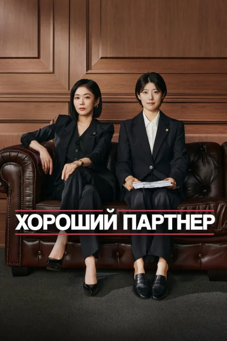 Хороший партнёр (сериал 2024)
