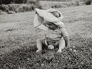 Младенец на дереве (1969)
