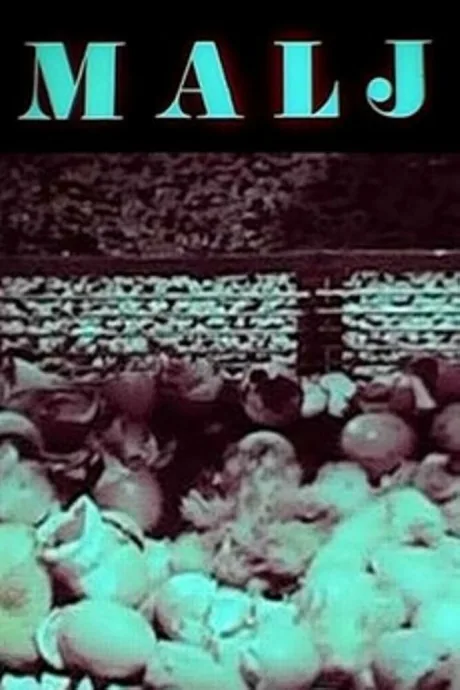 Молот (1977)