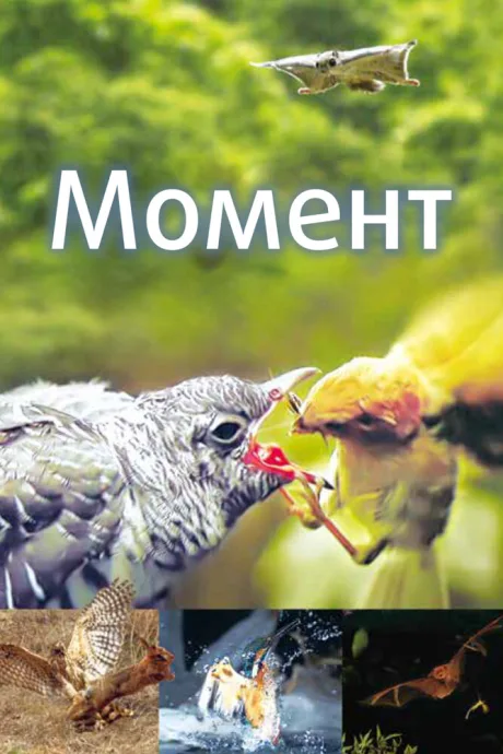 Момент (сериал 2016)