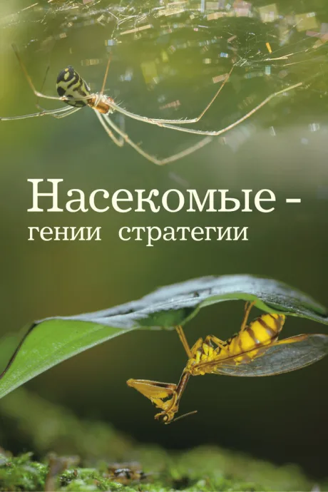 Насекомые — гении стратегии (сериал 2021)