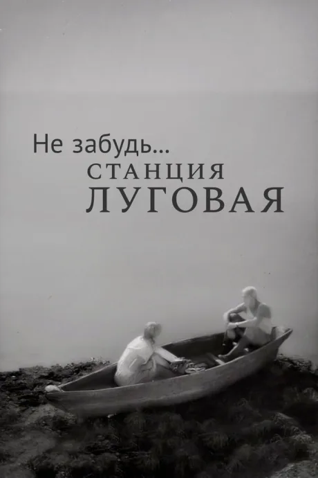 Не забудь… станция Луговая (1966)