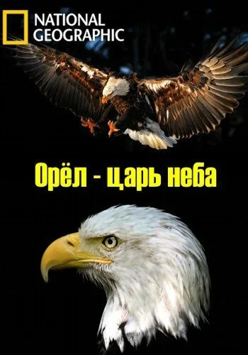 Орёл — царь неба (2014)