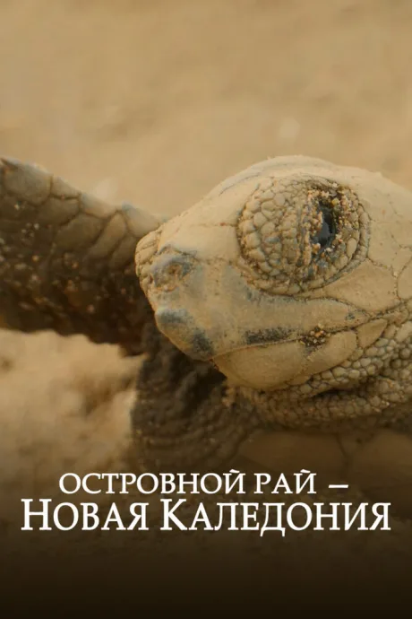Островной рай – Новая Каледония (2020)
