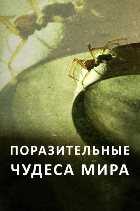 Поразительные чудеса мира (сериал 2015)