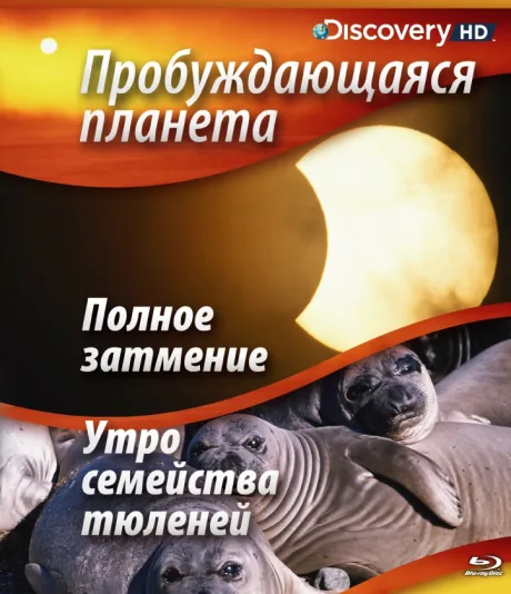 Пробуждающаяся планета (сериал 2004)