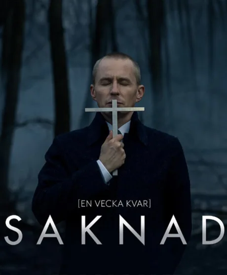 Пропавшая (сериал 2017)