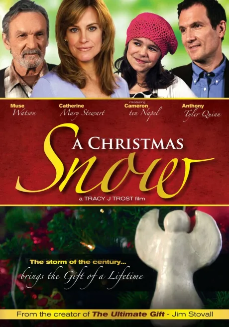 Рождественский снег (2009)