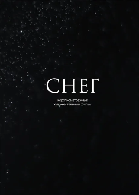 Снег (2013)