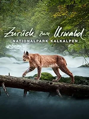 Создавая древний лес: Национальный парк Калькальпен (2015)