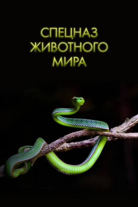 Спецназ животного мира (сериал 2018)