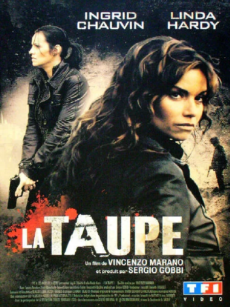 Шпион (сериал 2007)