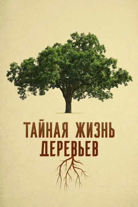 Тайная жизнь деревьев (2020)