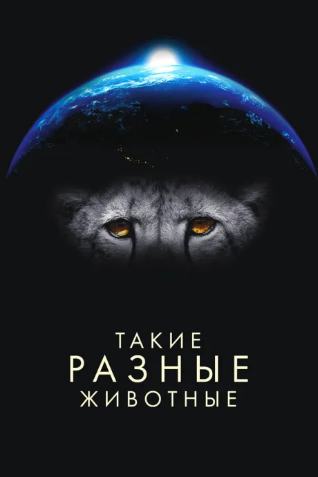 Такие разные животные (сериал 2024)