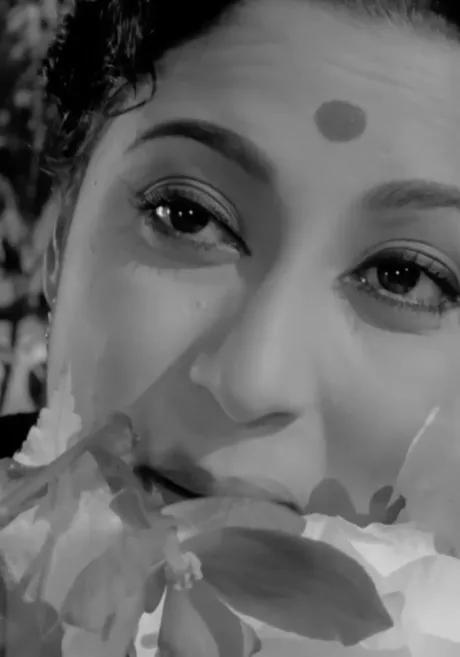 Тропинка среди зелени (1962)