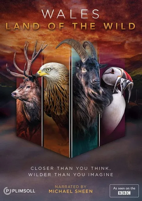 Уэльс: дикая земля (сериал 2019)