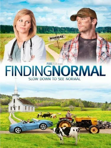 В поисках нормального (2013)