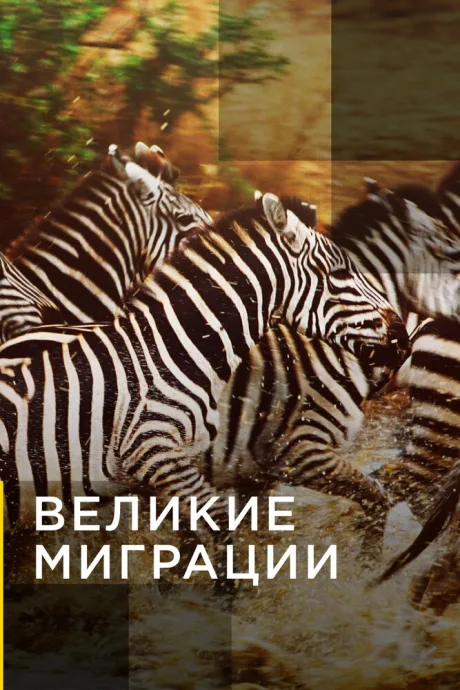 Великие миграции (сериал 2010)