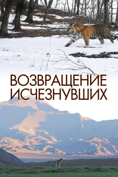 Возвращение исчезнувших (сериал 2023)