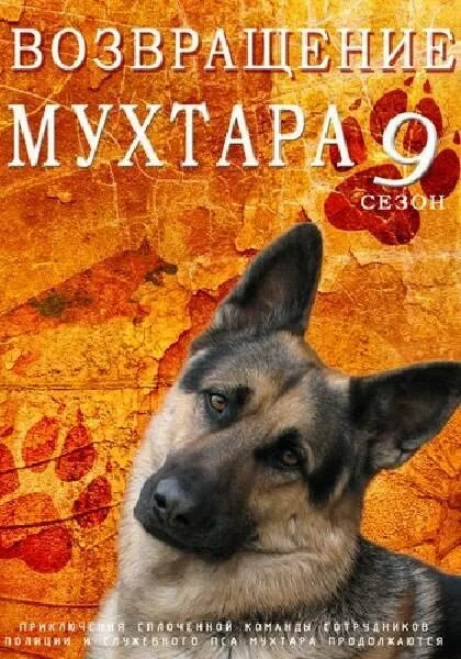 Возвращение Мухтара 9 (сериал 2013)