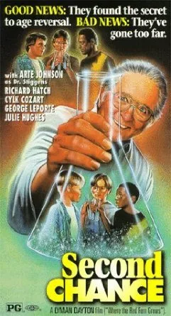 Второй шанс (1996)