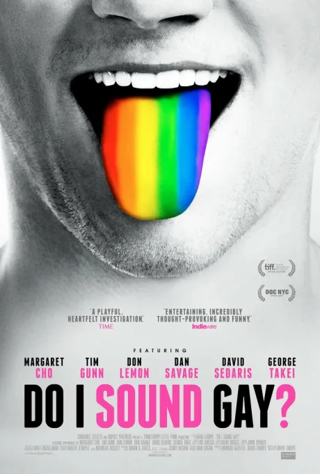 Я говорю как гей? (2014)