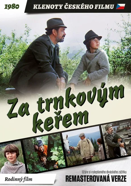 За кустами терновника (1981)